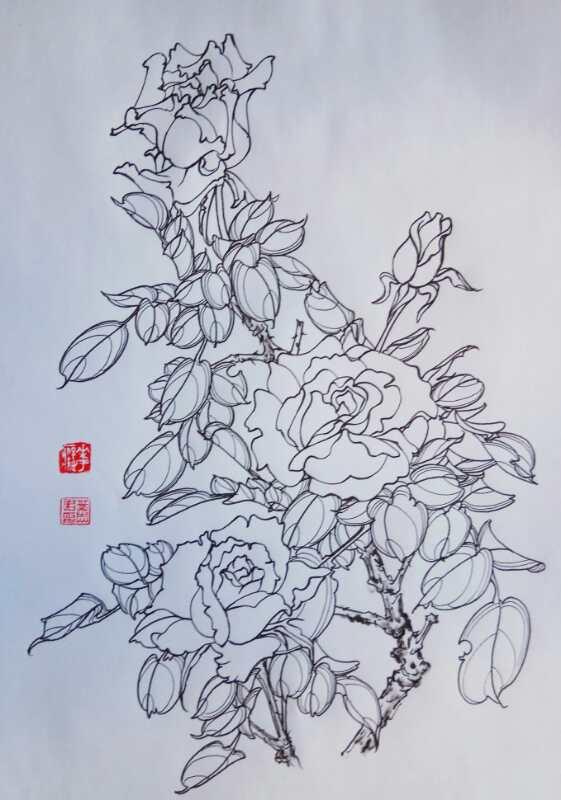 牡丹花(镜面,硬笔白描花卉). 0.35签字笔画花瓣,转角处01针管笔加粗.