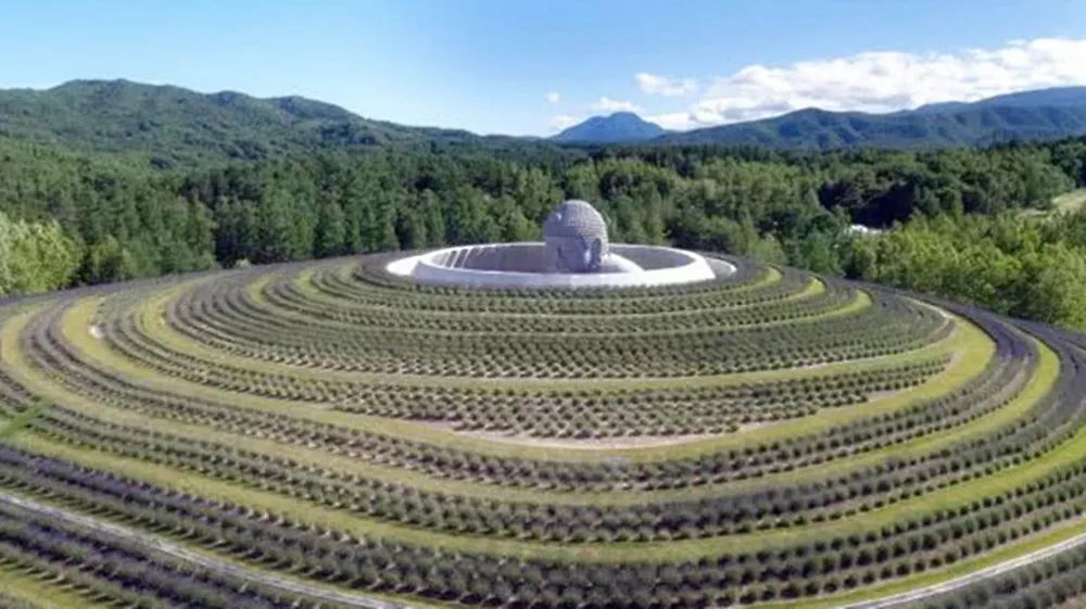 墓地排名_风水墓地(2)