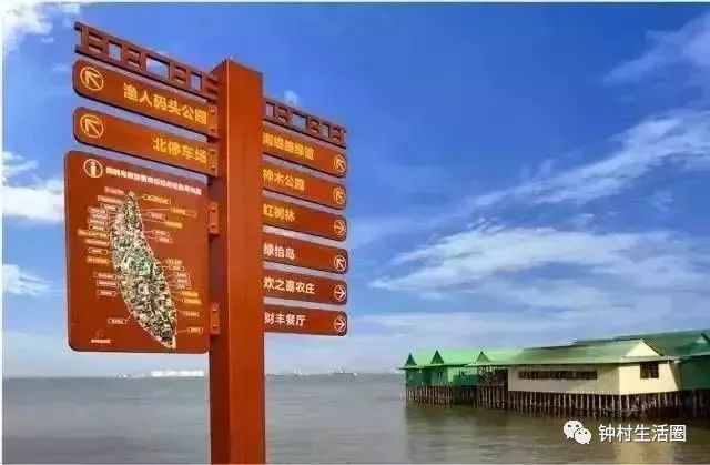 期待!番禺这条公路将要扩建,连接南沙大桥,贯穿