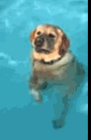 562fd13e57304bafa36763487ef2b4ae.jpeg