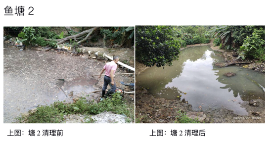 广州南沙黄山鲁森林公园下养塘鲺 深湾水库黑臭鱼塘被端了