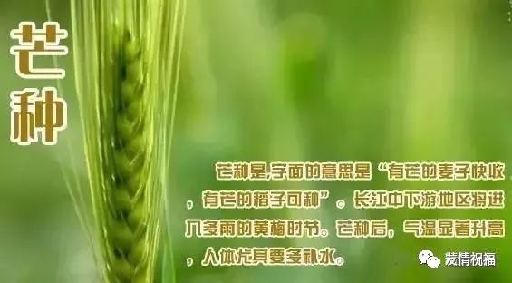 64beb5107f3448c3b4d206240b37f2e1.jpeg