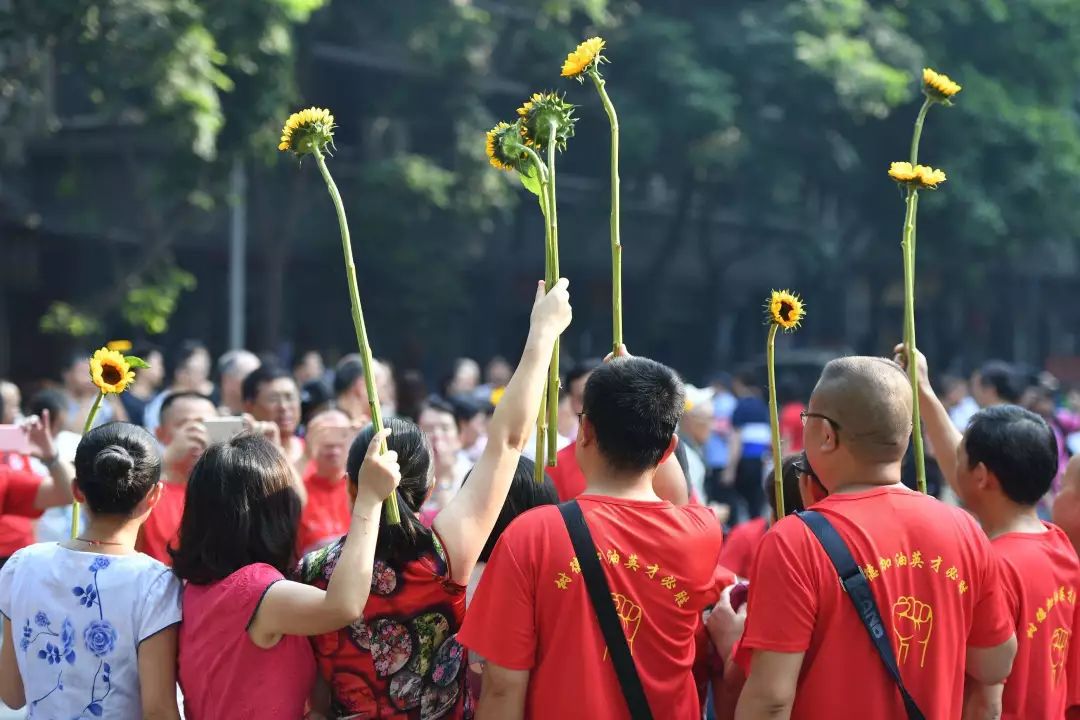 一举夺魁(葵)(图源网络)
