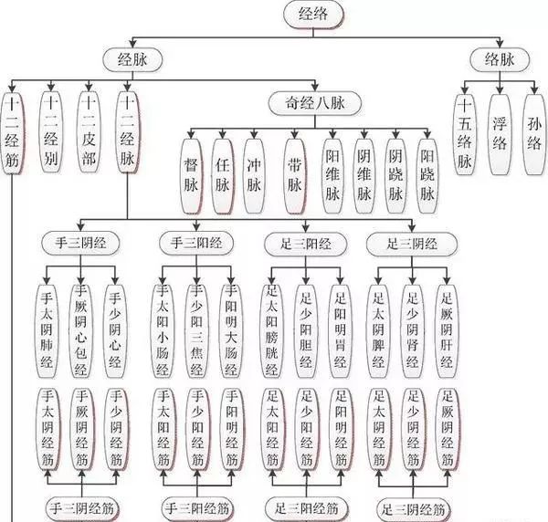 汉式养生 | 十二经筋(收藏版)