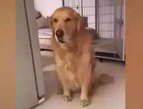 7f7521bf6b5c4f8cbc9cc002c90a42b1.jpeg