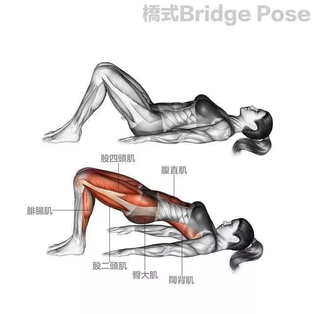 如何拉伸肩膀肌肉 81c6b8bd39ef48988f7de90c901f6e63.jpeg