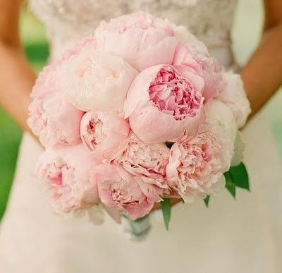 为什么要结婚 9816686287e148c9ba3e04909e980b14.jpeg