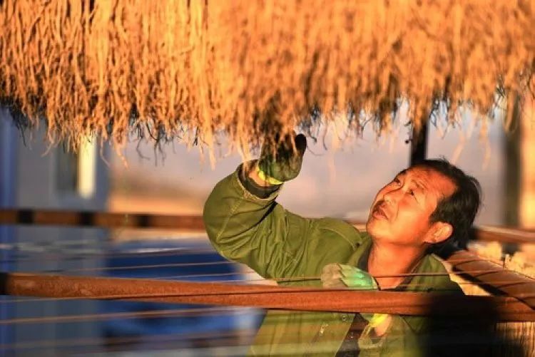 岷县有多少人口_甘肃岷县图片(3)