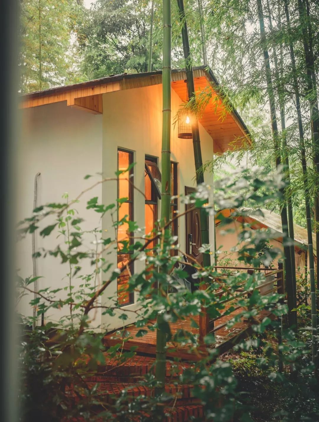 那一口鲜香糯美|翎谷·濯缨,给你一个浓情端午