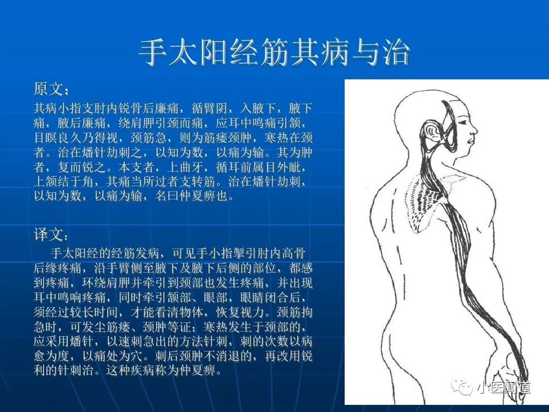 汉式养生 | 十二经筋(收藏版)