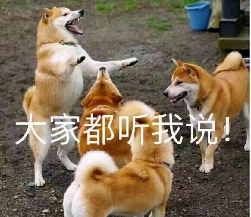 a0e36d1065364e0897ff157c9d1f4308.jpeg