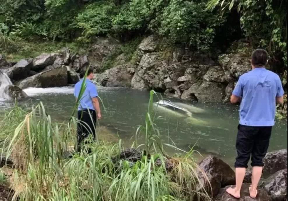 秤钩镇人口_秤钩卡通图片