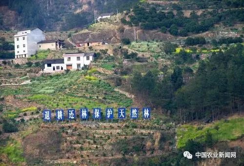农民朋友国家公布最新的林木良种名录聪明人已经完美电竞看到商机了!(图2)