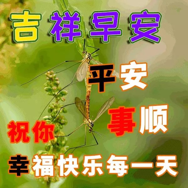 好朋友祝你早日梦想成真,天天开心,早安!