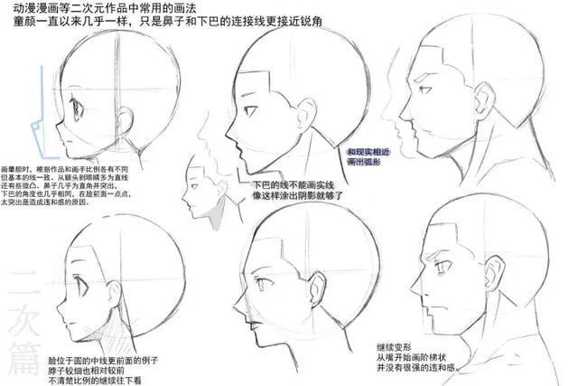 今天老师就在网络上收集整理一些关于如何绘画二次元人物侧脸的方法
