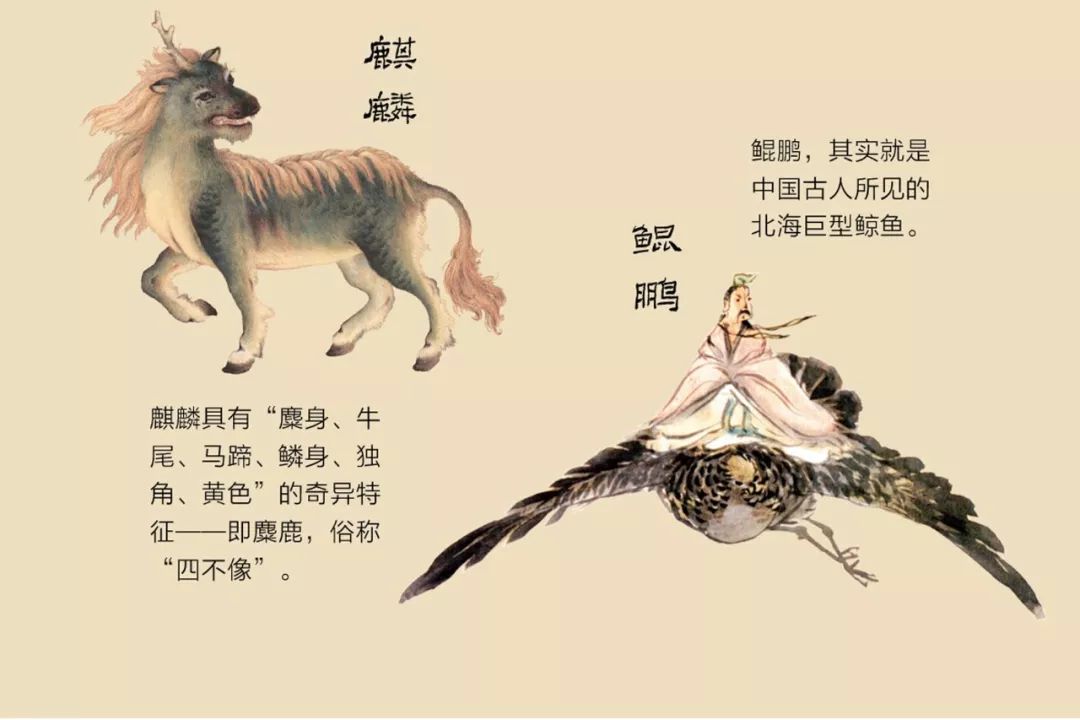 华为注册山海经的名字有哪些