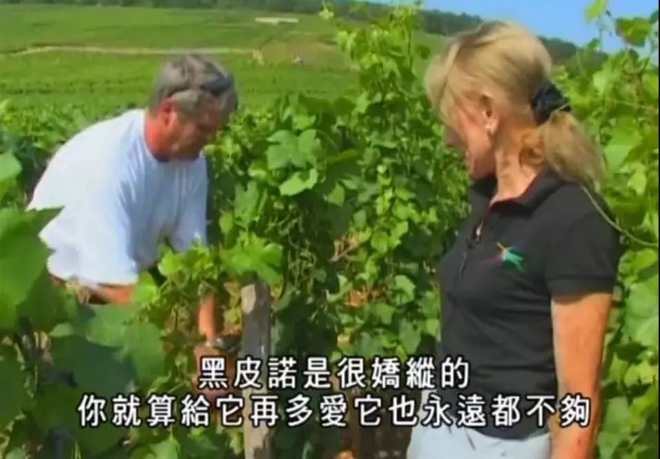 好一点的红酒一万多 c2f7f5455c1f4e42919a5a92160eb5ee.jpeg