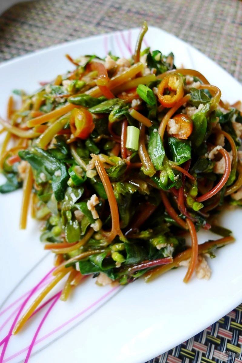 农村常见的野菜美味的开胃菜凉拌马齿笕