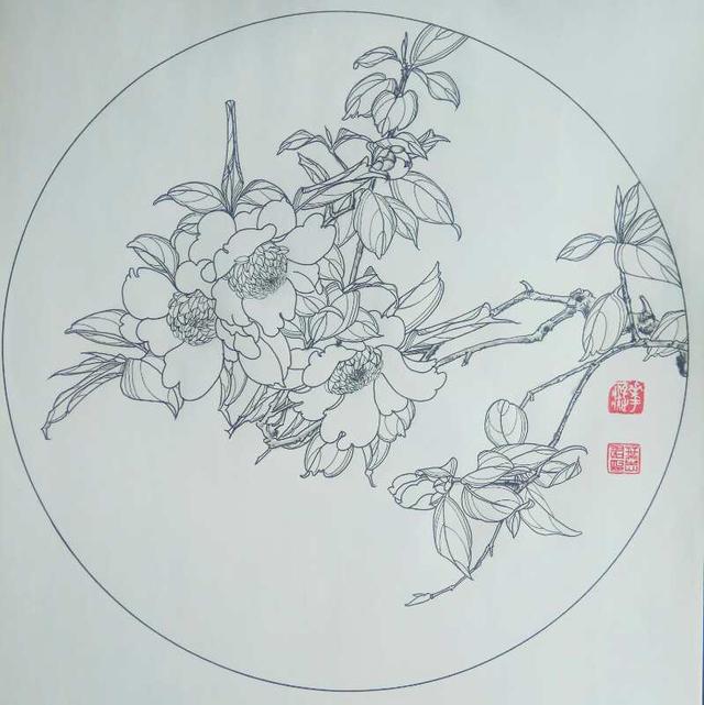 葫芦(硬笔白描) 05针管笔画叶子轮廓,主叶脉,叶脉用01针管笔.