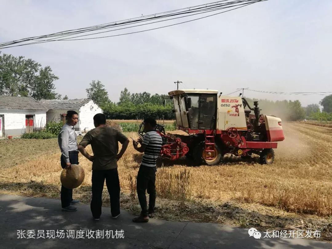 秸秆禁烧是几月 c90860a2ef9041fc9f9e7adcfa57658b.jpeg