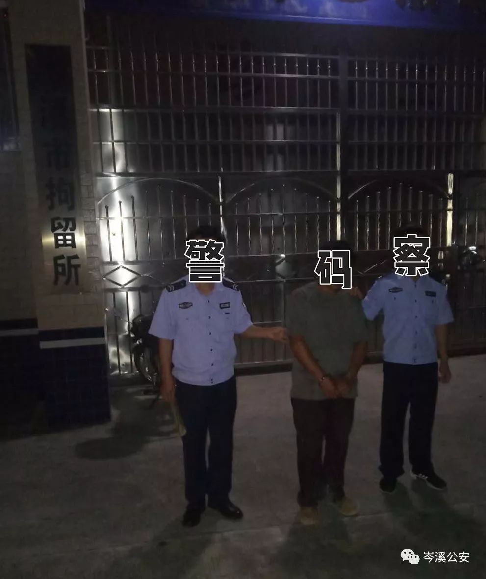 岑溪一男子随意丢弃病死猪,拘留!请勿乱丢死猪了啵!