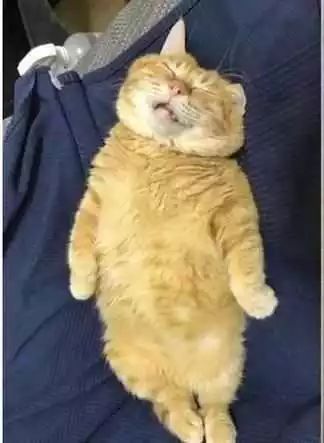 d5773136fb264aefa3a9b4ae1d74cf11.jpeg