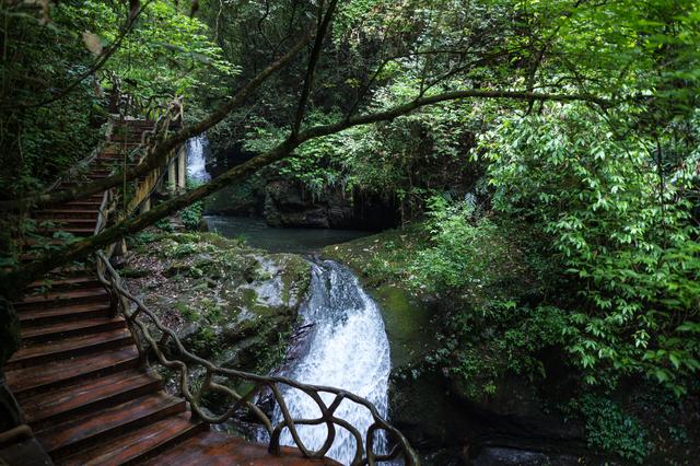 江西阳明山,中国森林氧吧,并拥有全国三大沟谷雨林之一