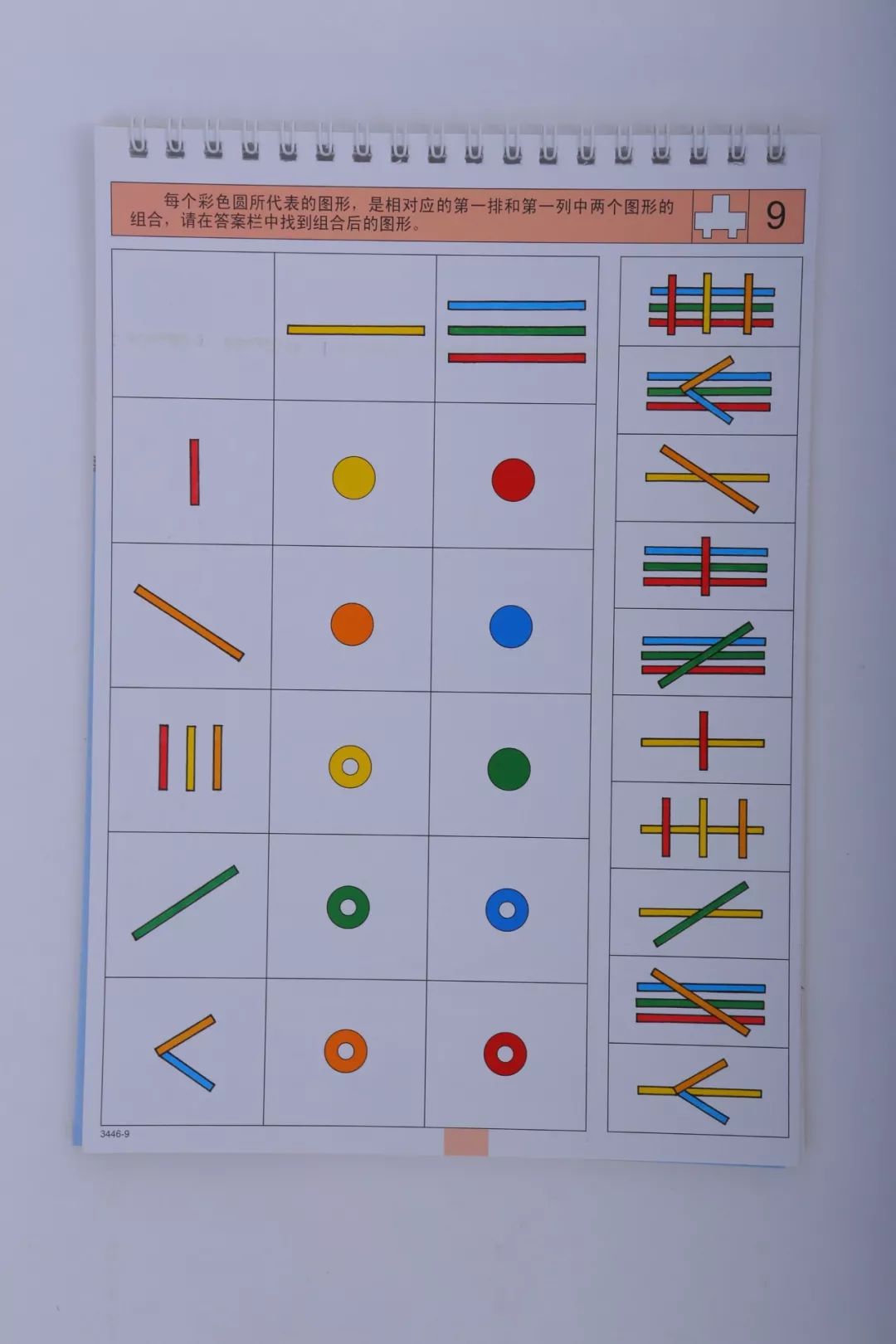 风靡全球的"逻辑狗",培养逻辑思维,分阶段科学训练,推荐3岁以上宝贝