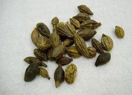 中药怎么煮才能熟 efa0fd5e84854c1c84475810a621f415.jpeg