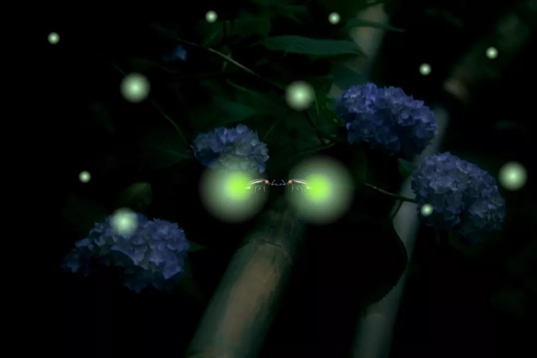 f256e69cb86e47d6bda9a077b65d9448.jpeg