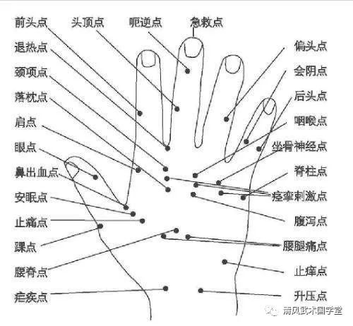 手上五指各属于哪种五行?