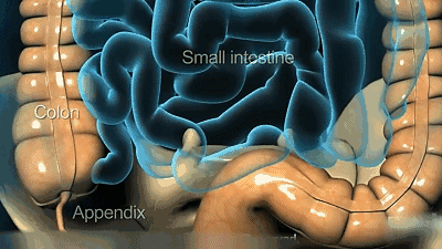 f799d436a2204f63b3f7847717496a2d.gif