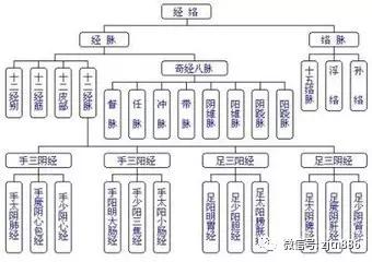 【十二经络流注】