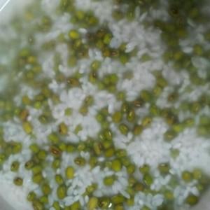 fe3666230edb4dc5b91d06a7c53cf52e.jpeg