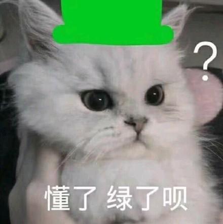 猫猫狗狗斗图表情包|懂了,绿了呗