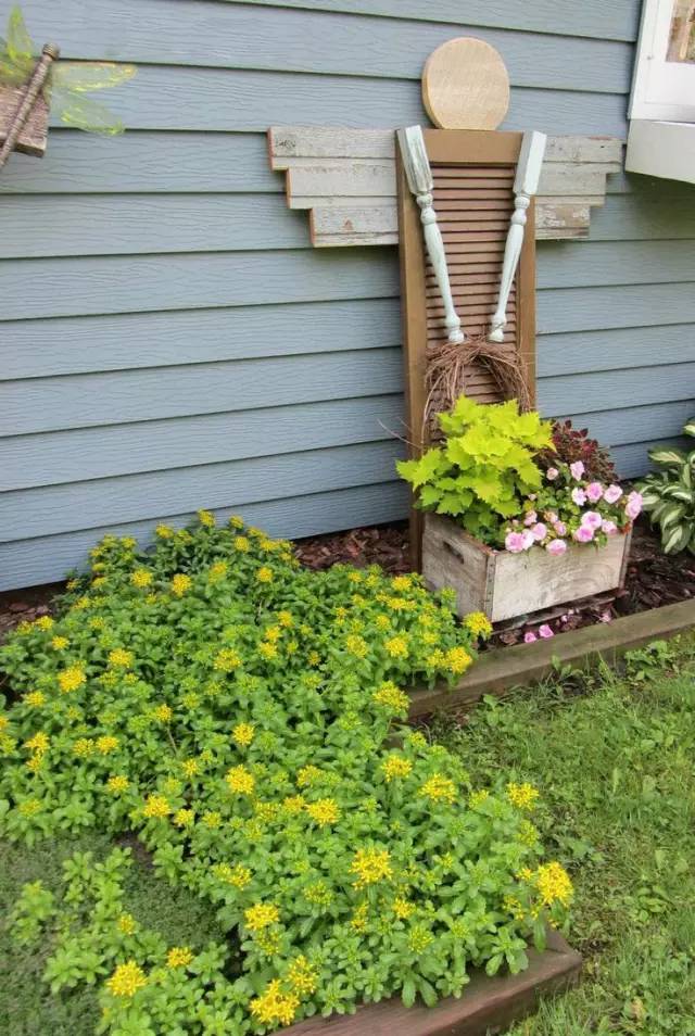 盆栽花园打造 10cb8cd0b4334d26b086b2dd1ade28ed.jpeg