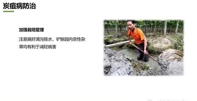 什么是化学防治 11fd8e8bd73543e4ae1ffbe9a9b594a1.jpeg