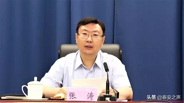 权威发布张涛任泰安市人民政府代市长