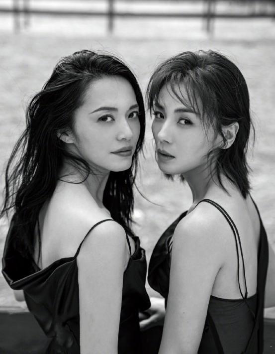 姚晨刘涛互演对方戏回头一起拍百合片姚晨有望获最佳女主角