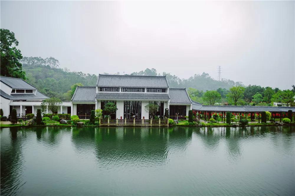 周边游 | 广州周边最适合撒欢的亲子度假圣地