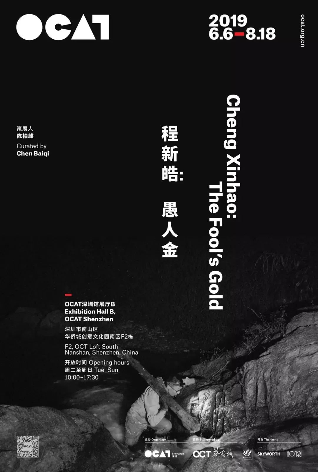 curated by chen baiqi策展人:陈柏麒cheng xinhao the fool's gold