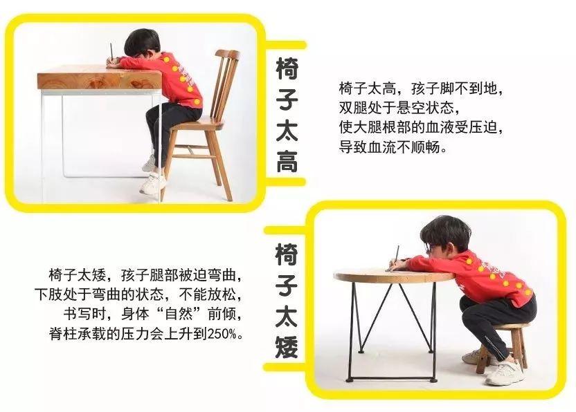 萌酷宝:人体工学椅入坑指南
