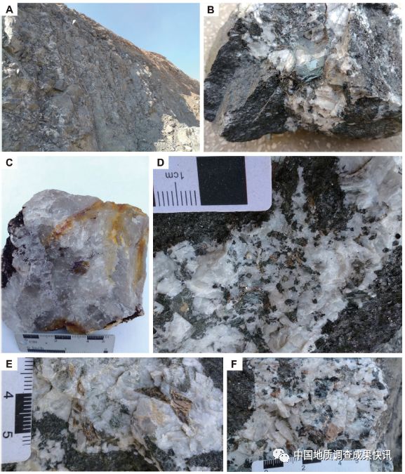 正长伟晶岩(图2-b)和中—细粒角闪正长岩,霓辉正长岩等岩石类型组成