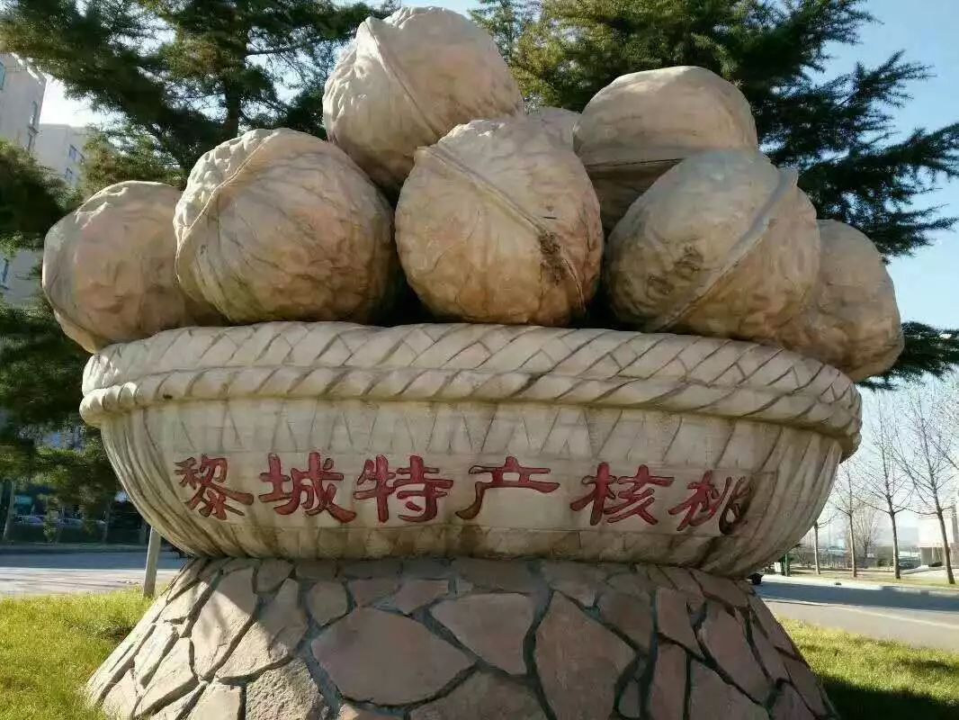 08年7月,还被农业部批准为地标保护农产品黎城核桃,是当地特产01年被