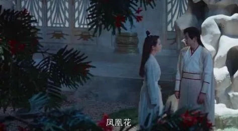 去塞班旅游——看香蜜沉沉烬如霜旭凤的凤凰花树