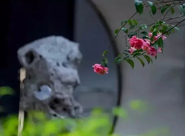 人生聚散,随意随缘_生活