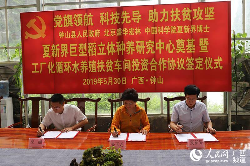 贺州公会那个村人口多_贺州公会牛肠酸图片