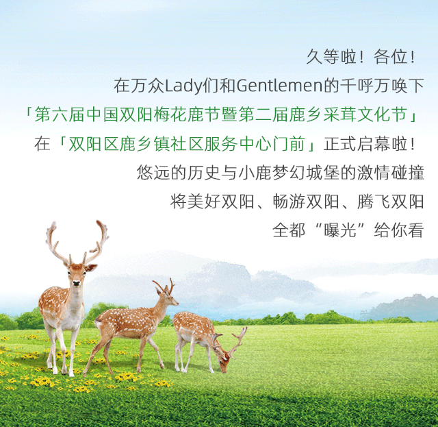 现场直击第六届中国双阳梅花鹿节火爆开幕啦