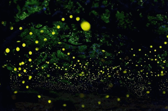56191d09a43d4f0bad59bec1134b11b9.gif
