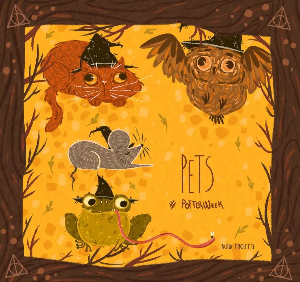 插画 | 大难不死的男孩和那些魔法记忆 Laura